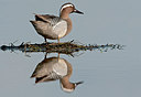 BUITEN BEELD Foto: 285715