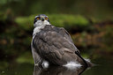 BUITEN BEELD Foto: 285718