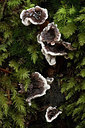 BUITEN BEELD Foto: 285731