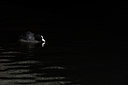 BUITEN BEELD Foto: 285751