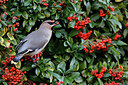 BUITEN BEELD Foto: 285752