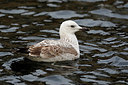 BUITEN BEELD Foto: 285753