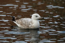BUITEN BEELD Foto: 285754
