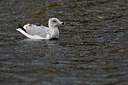 BUITEN BEELD Foto: 285758