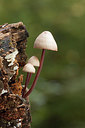 BUITEN BEELD Foto: 285780