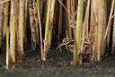 BUITEN BEELD Foto: 285793