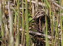 BUITEN BEELD Foto: 285795