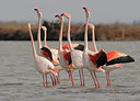 BUITEN BEELD Foto: 285879