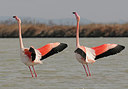 BUITEN BEELD Foto: 285880