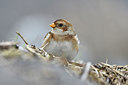BUITEN BEELD Foto: 285893