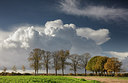 BUITEN BEELD Foto: 285897
