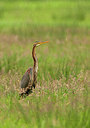 BUITEN BEELD Foto: 285954