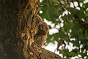 BUITEN BEELD Foto: 285991