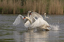 BUITEN BEELD Foto: 286030