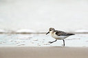 BUITEN BEELD Foto: 286038