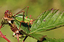 BUITEN BEELD Foto: 286082