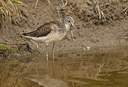 BUITEN BEELD Foto: 286134