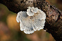 BUITEN BEELD Foto: 286177