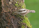 BUITEN BEELD Foto: 286206