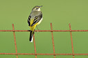BUITEN BEELD Foto: 286295