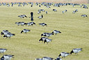 BUITEN BEELD Foto: 286309