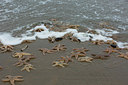 BUITEN BEELD Foto: 286365