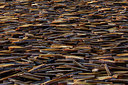 BUITEN BEELD Foto: 286369