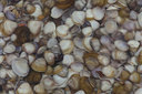 BUITEN BEELD Foto: 286376