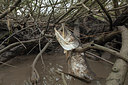 BUITEN BEELD Foto: 286380