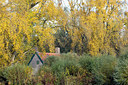 BUITEN BEELD Foto: 286434