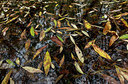 BUITEN BEELD Foto: 286446