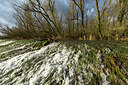 BUITEN BEELD Foto: 286467