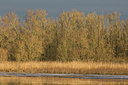 BUITEN BEELD Foto: 286471