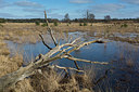 BUITEN BEELD Foto: 286474