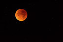 BUITEN BEELD Foto: 286476