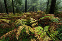 BUITEN BEELD Foto: 286477