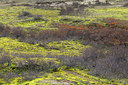 BUITEN BEELD Foto: 286481
