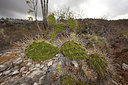 BUITEN BEELD Foto: 286505