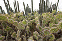 BUITEN BEELD Foto: 286509