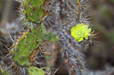 BUITEN BEELD Foto: 286514