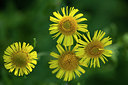 BUITEN BEELD Foto: 286522