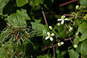 BUITEN BEELD Foto: 286524