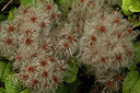 BUITEN BEELD Foto: 286531