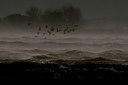 BUITEN BEELD Foto: 286532