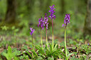 BUITEN BEELD Foto: 286537