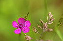 BUITEN BEELD Foto: 286555