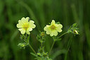 BUITEN BEELD Foto: 286560