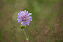 BUITEN BEELD Foto: 286571