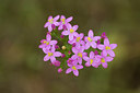BUITEN BEELD Foto: 286574