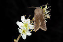 BUITEN BEELD Foto: 286600